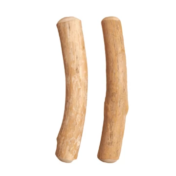 Kávéfa rágóbot S 18-22cm 